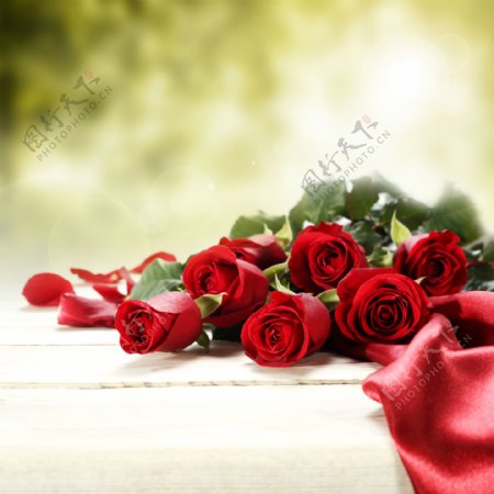 红绸与红色玫瑰花图片