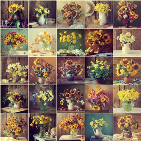 植物花朵花瓶大合集图片