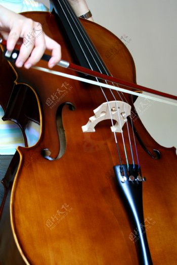 拉大提琴图片