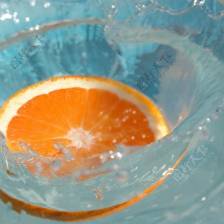 香橙水花图片
