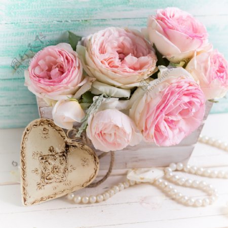 美丽鲜花与珍珠项链图片