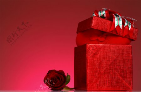 红色礼物盒边的玫瑰花图片