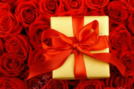 情人节礼物与玫瑰图片