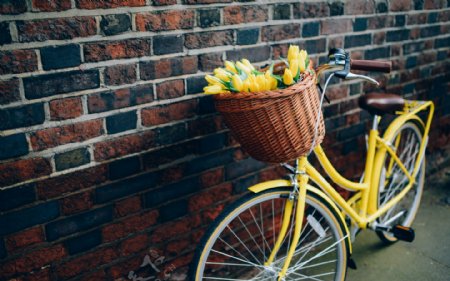 载满鲜花的自行车