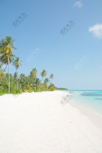 棕榈树的海滩天堂