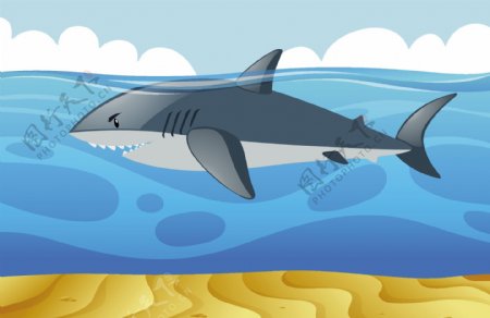 鲨鱼背景设计