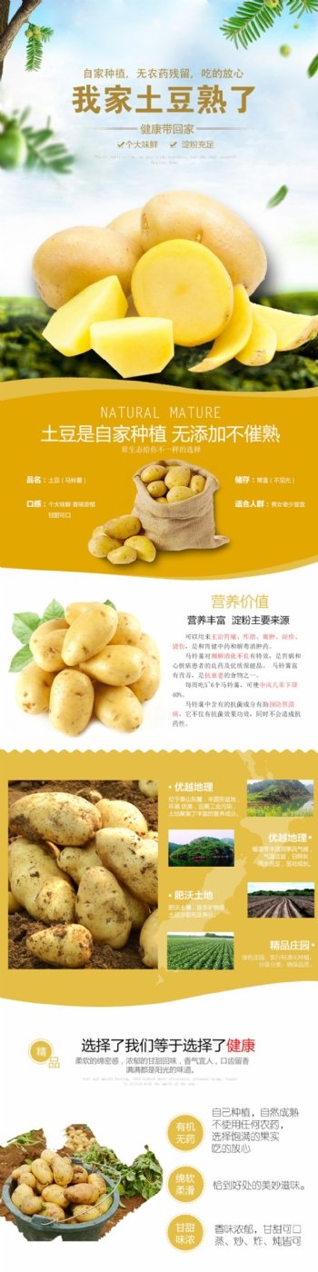 淘宝农产品土豆详情页