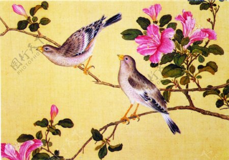 花鸟画中国古画传统国画14