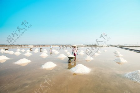 越南盐滩收盐的人们图片