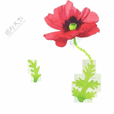 唯美红色花朵手绘插画素材