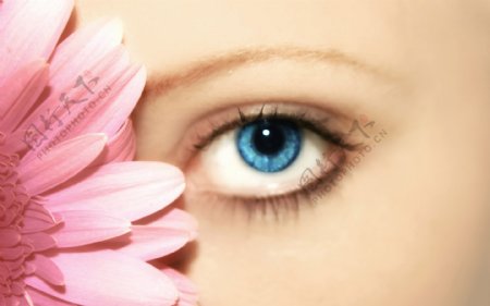 美女眼睛与鲜花图片