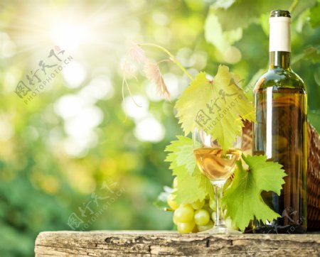 桌子上的葡萄和饮料