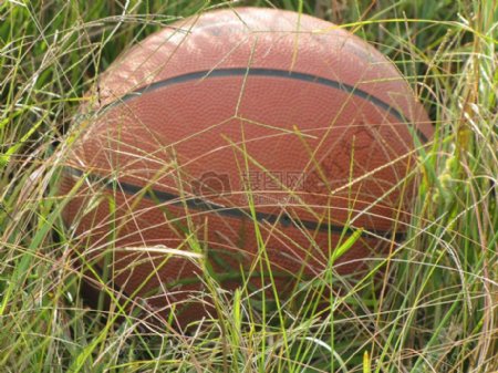 草地上的篮球