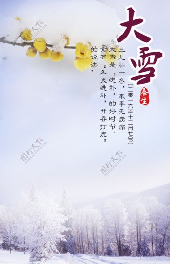 大雪雪景腊梅节气图片