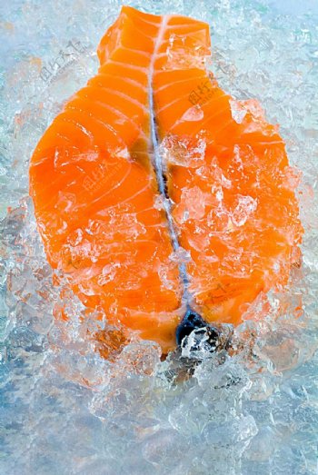 冰里的新鲜鱼块