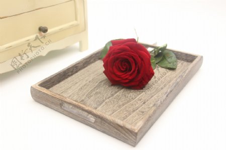 木纹托盘玫瑰图片