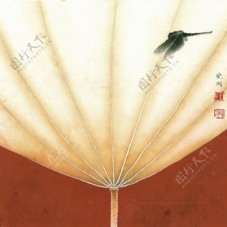莲之舞红底黑色蜻蜓图