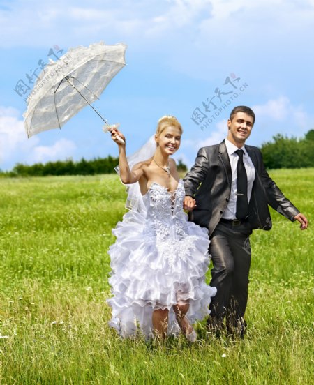 草地上的新婚情侣图片
