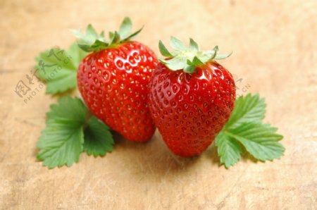 草莓023