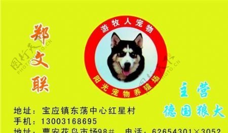 宠物类名片模板CDR4543