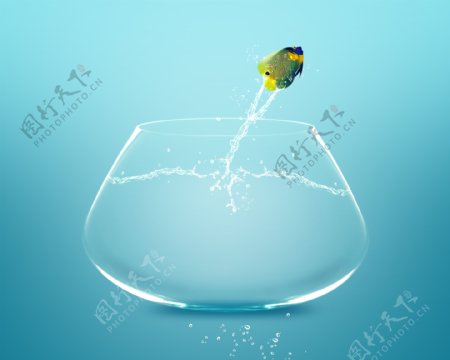 鱼缸里的飞溅的水花和鱼