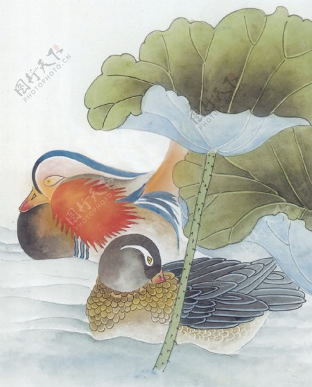花鸟中国画03