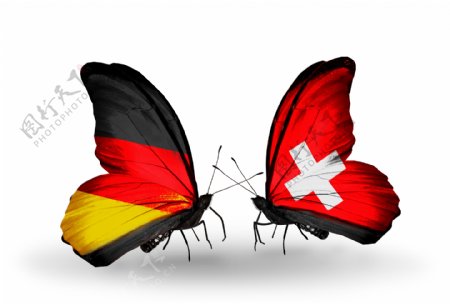 瑞士蝴蝶国旗