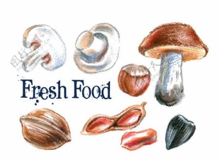 彩绘蘑菇和坚果矢量素材