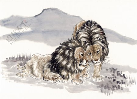 狮子写意动物画国画0009