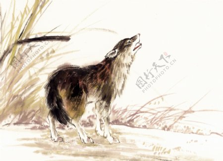 狼写意动物画国画0018