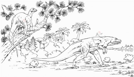 恐龙素描