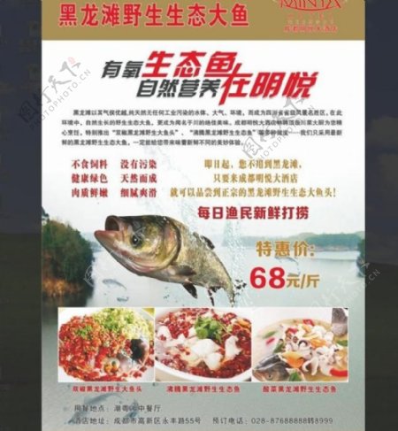黑龙潭生态大鱼图片