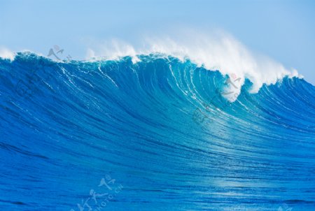 大海卷起的巨浪图片
