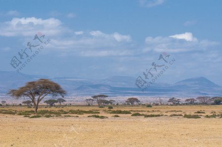 非洲草原美景摄影