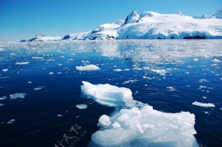 北极海面上的冰川