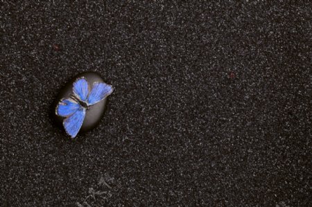 鹅卵石与蝴蝶图片