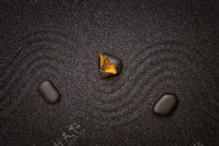 停在鹅卵石上的蝴蝶图片