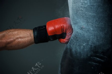 练习拳击的运动员图片