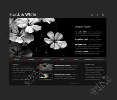 黑白花瓣网页psd模板