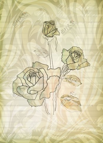 优雅玫瑰图案4