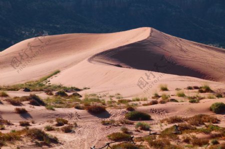 粉红色沙丘美国沙漠自然景观