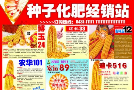玉米种子报纸宣传