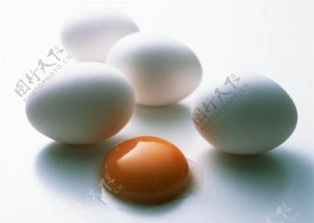 鸡蛋与蛋黄图片