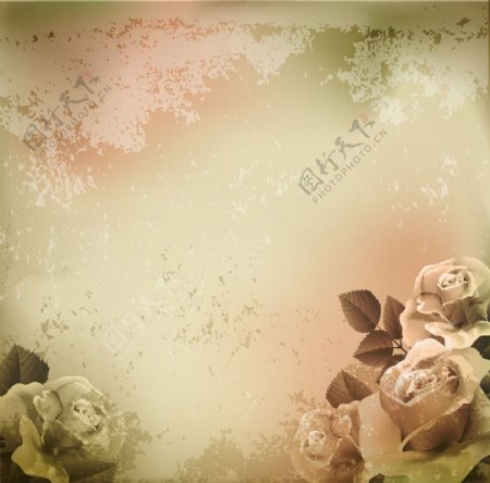 欧式花卉底纹背景图片