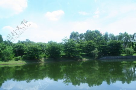 高清绿色湖边风景图片