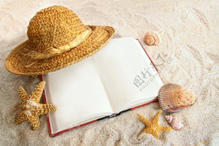 沙滩上的书本与海星