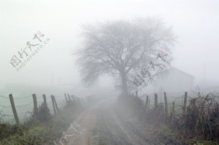 白雾笼罩的公路风景