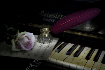 怀旧钢琴玫瑰