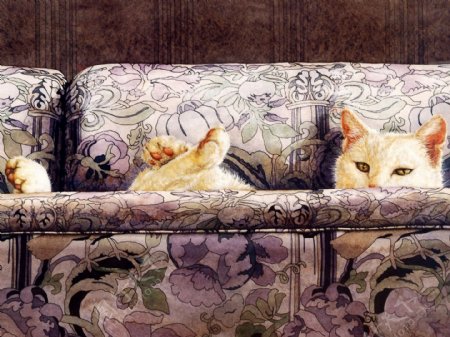 猫咪宠物手绘画88猫