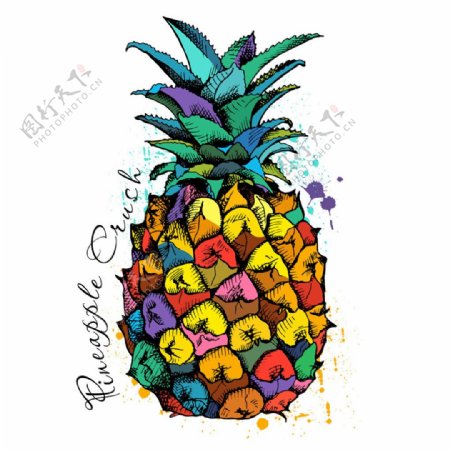 水彩菠萝插画图片